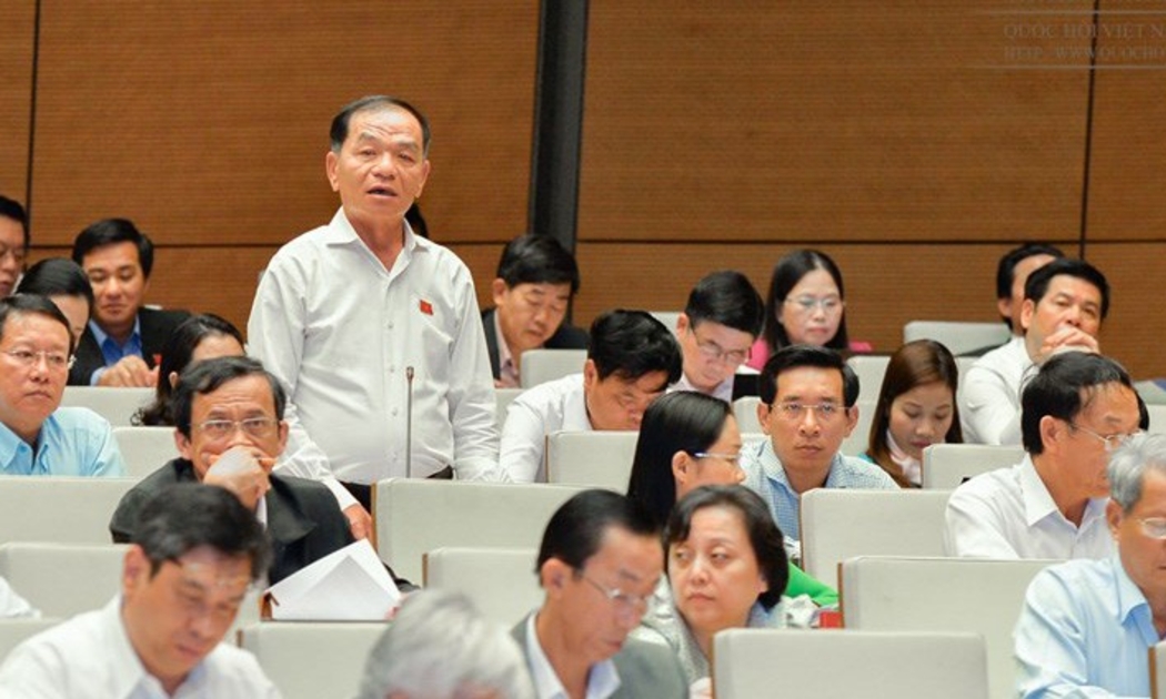 Đại biểu Lê Thanh Vân chất vấn về thương vụ MobFone mua cổ phần của Công ty Cổ phần Nghe nhìn Toàn Cầu (AVG).
