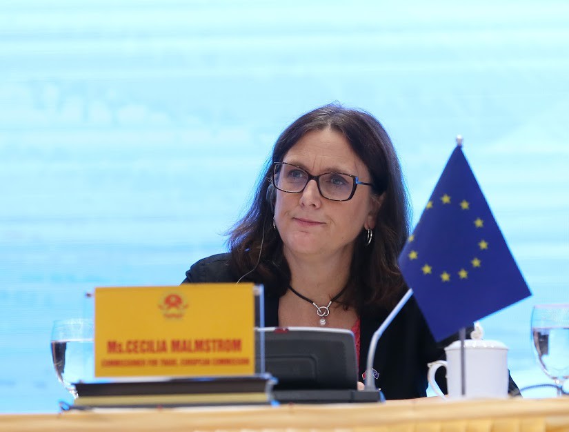 Hiệp định EVFTA và IPA: Mở ra chân trời mới hợp tác rộng lớn - Ảnh 8.