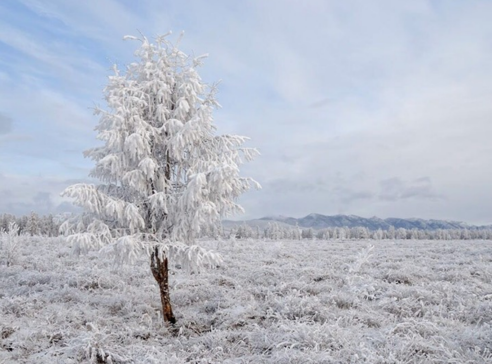 undefined - Ảnh 16.