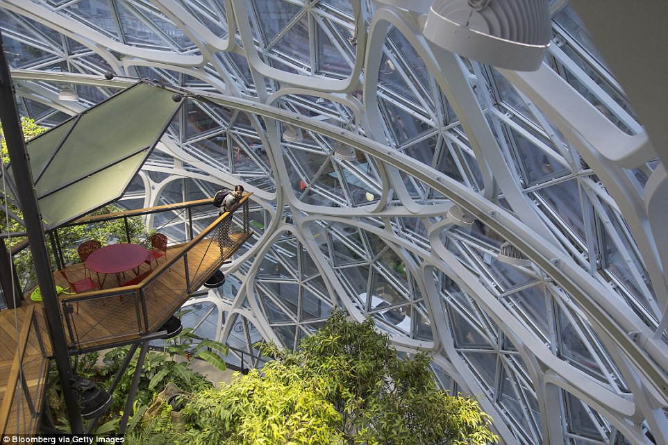 undefined - Ảnh 17.