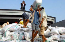 10 tháng đầu năm, lượng phân bón nhập khẩu là 796 triệu USD, giảm 30,6% so với cùng kỳ năm trước.