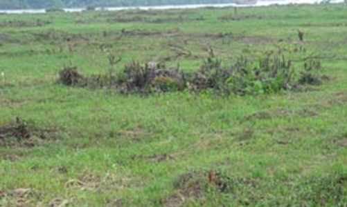 Chưa nên giám sát tối cao về kích cầu