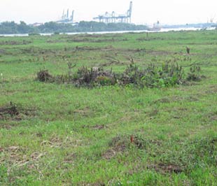 Đất đai là một trong những lĩnh vực được nhiều vị đại biểu Quốc hội đề nghị cần thực hiện giám sát tối cao.