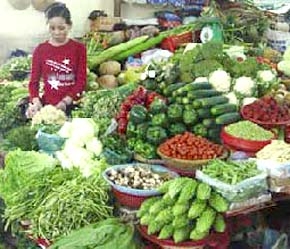 Mùa nóng, rau quả sẽ tăng giá.