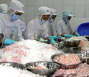 Ngành thủy sản đang có kết quả kinh doanh rất ấn tượng.