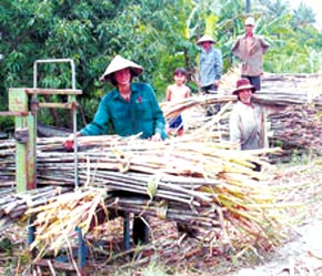 Nguyên nhân sâu xa của tình trạng này là cung vượt quá cầu.