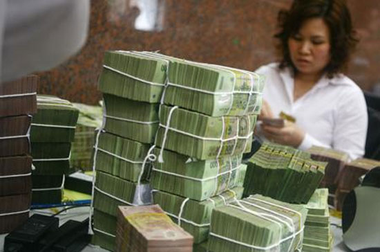 Trong năm 2010 và đầu 2011, nhiều doanh nghiệp phát hành trái phiếu thành công mà khách hàng chủ yếu là các ngân hàng thương mại.