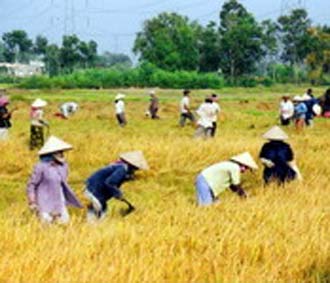 Theo Thứ trưởng Nguyễn Thành Biên, dự kiến 5 tháng đầu năm nay, cả nước xuất khẩu trên 2,1 triệu tấn gạo, trong khi lượng gạo đã đăng ký hợp đồng là 2,4 triệu tấn.