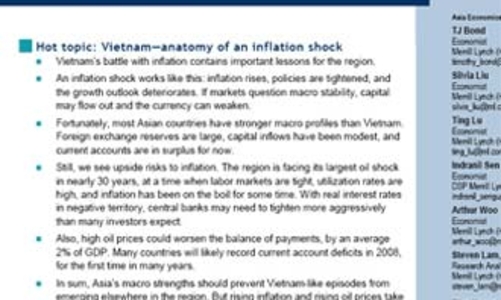 Merrill Lynch “mổ xẻ” lạm phát ở Việt Nam