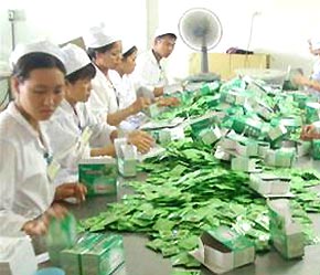 Mục tiêu đến hết 2010, tất cả các cơ sở sản xuất này phải đạt tiêu chuẩn thực hành tốt sản xuất thuốc - Ảnh: VNN