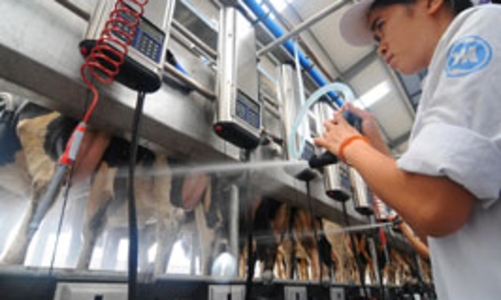 Vinamilk tăng giá sữa nước thêm 3%