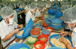 11 tháng năm 2010 xuất khẩu điều đạt khoảng 179 nghìn tấn, kim ngạch thu về là 1 tỷ USD. 