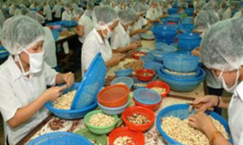 Việt Nam 4 năm liền dẫn đầu thế giới về xuất khẩu điều