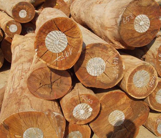 Số liệu thống kê của Bộ Nông nghiệp và Phát triển nông thôn cho thấy, giá trị xuất khẩu gỗ của Việt Nam năm 2007 đạt 2,4 tỉ USD.