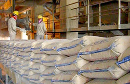 Nhu cầu tiêu thụ xi măng trong nước năm 2011 theo dự báo sẽ ở mức 55-56 triệu tấn.