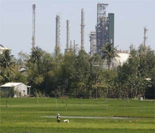 Nông dân làm việc trên đồng lúa bên ngoài Nhà máy Lọc dầu Dung Quất, tỉnh Quảng Ngãi - Ảnh: Reuters.