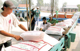 Việt Nam đã xuất khẩu sang Bangladesh hơn 350 nghìn tấn gạo các loại, thu về gần 120 triệu USD trong năm 2010.