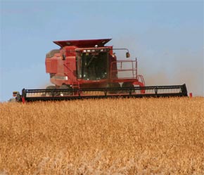 Bất đồng về trợ cấp nông nghiệp và thuế nông sản là nguyên nhân chính khiến vòng đàm phán Doha bế tắc.