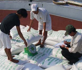 Chính phủ đã đồng ý chưa áp thuế tuyệt đối với gạo xuất khẩu giá dưới 800 USD/tấn.