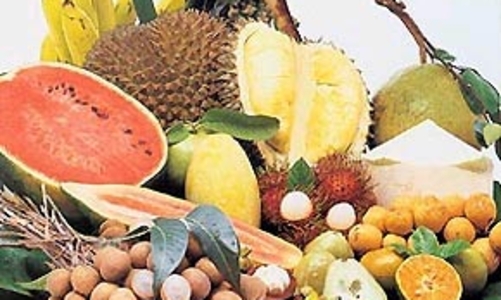 Xuất khẩu rau quả: Những bất cập và mục tiêu kim ngạch 1,5 tỷ USD