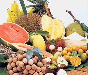 Đến nay vấn đề bảo quản sau thu hoạch vẫn nóng bỏng, cản trở khả năng xuất khẩu rau, hoa, quả Việt Nam đến các thị trường xa.