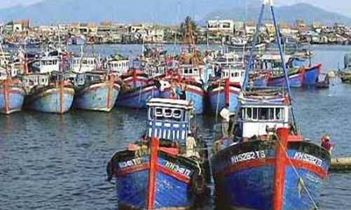 Doanh nghiệp quay quắt vì thiếu nguyên liệu hải sản