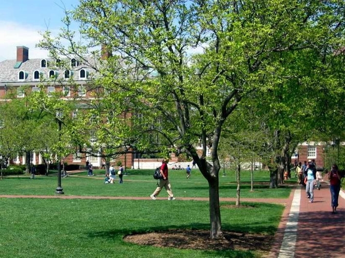 undefined - Ảnh 3.