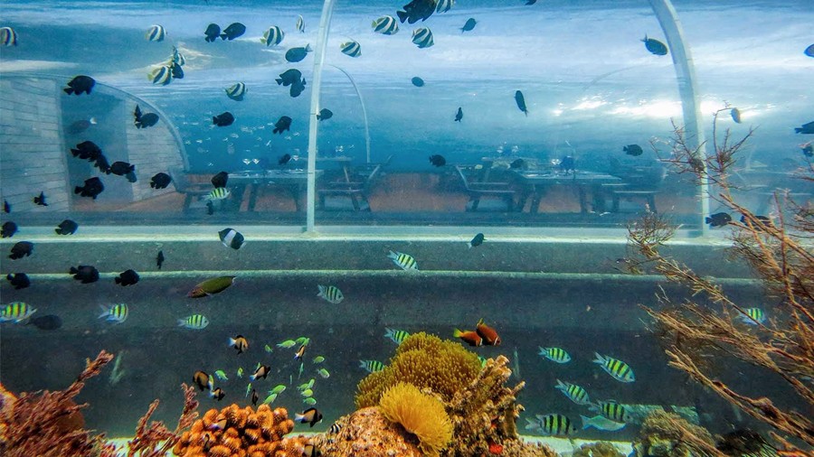 undefined - Ảnh 3.