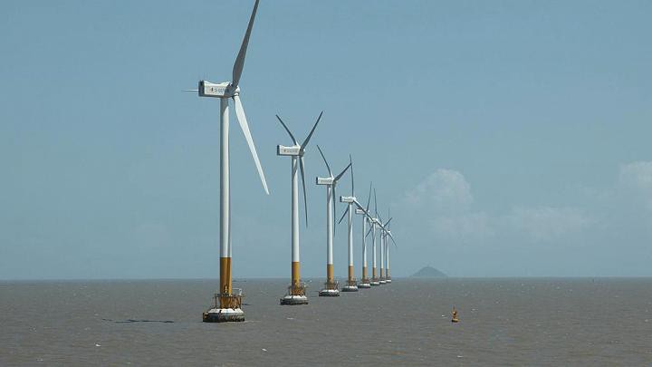 undefined - Ảnh 3.