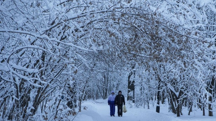 undefined - Ảnh 2.