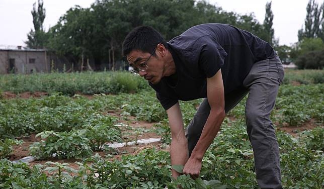 Tiến sĩ, thạc sĩ Trung Quốc đua nhau về quê làm nông nghiệp sạch - Ảnh 2.
