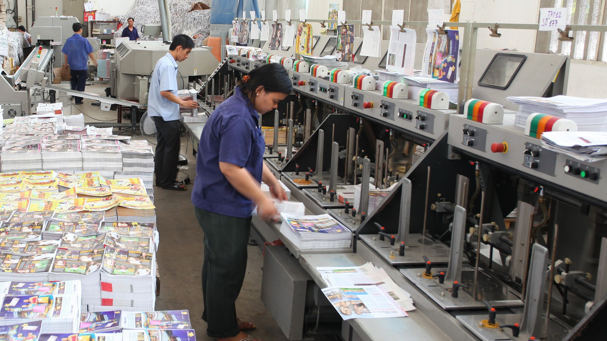 Kết quả kinh doanh của In Trần Phú những năm gần đây đều giảm sút.