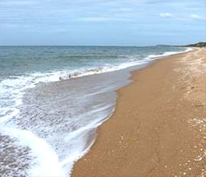 Tư duy về biển phải được thể hiện trong chính sách phát triển của ngành liên quan và các tỉnh có biển.