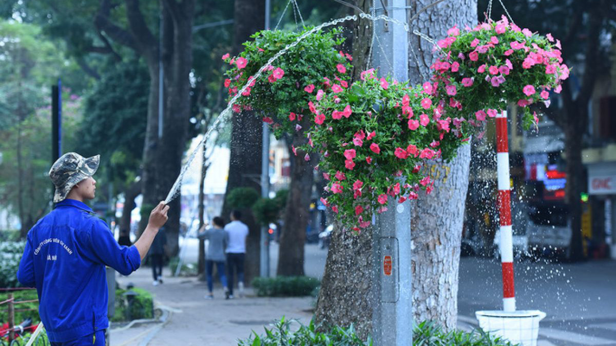 Nhiều tuyến phố trên địa bàn Hoàn Kiếm sẽ bị cấm trong thời gian 2 tuần để tổ chức chợ hoa xuân.