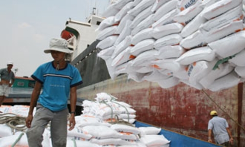 Dự báo triển vọng xuất khẩu gạo cuối năm