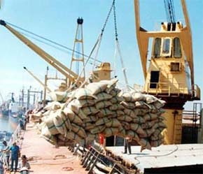 Giá gạo xuất khẩu của Việt Nam thường phải chịu thua kém so với hàng Thái Lan - Ảnh: VNN.