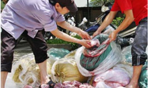 Từ 1/10, tạm ngừng tạm nhập tái xuất phủ tạng động vật