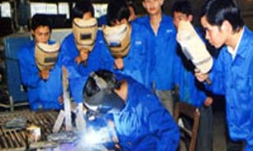 “Lúc này không nên đưa ồ ạt lao động sang Đài Loan”