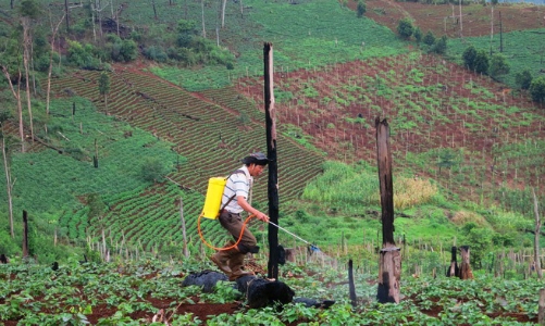 Rà soát quỹ đất nông lâm trường không thuộc diện sắp xếp lại