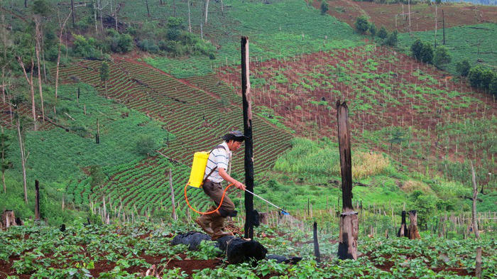Thực hiện điều tra, thống kê quỹ đất các nông, lâm trường bàn giao về địa phương; tổng hợp tình hình quản lý, sử dụng đất.