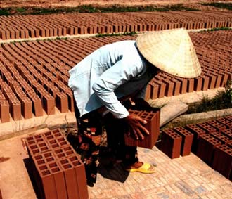 Vật liệu xây dựng truyền thống đang tàn phá tài nguyên thiên nhiên.