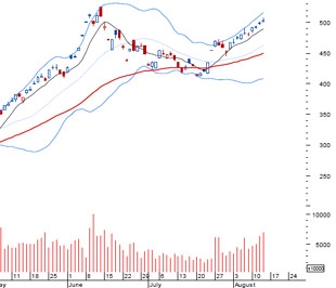 VCSC cho rằng thị trường có thể sẽ dao động trong biên độ hẹp vì nhà đầu tư vẫn lưỡng lự xem thị trường có thể trụ vững trên mức 500 điểm trong bao lâu - Nguồn: BVSC.