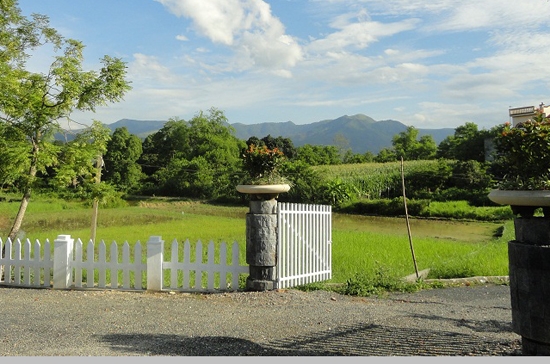 Một góc dự án Green Oasis Villas Xuân Mai.