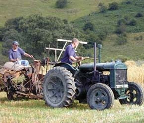 Đối với lao động  trong lĩnh vực nông nghiệp, tuỳ theo từng bang ở Mỹ, lương cơ bản khoảng 7,4-10 USD/giờ.