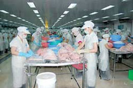 Một phân xưởng sản xuất của HVG.