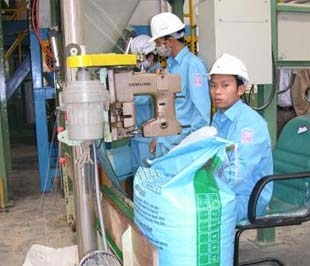 Sản xuất thức ăn chăn nuôi.