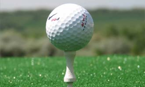 “Rất may việc phát triển ổ ạt sân golf đã có cảnh báo sớm”