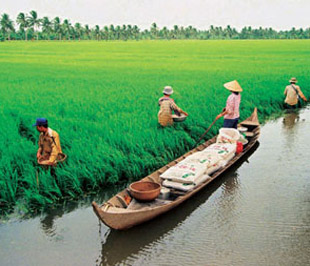 Trong năm 2008, 10 cơn bão, 6 trận áp thấp nhiệt đới đổ bộ vào Việt Nam đã gây thiệt hại trên 13.000 tỷ đồng, chưa kể những đợt dịch bệnh trên cây trồng vật nuôi...