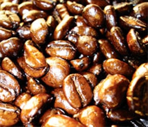 "Việt Nam đang đứng trước một cơ hội to lớn để có thể xây dựng một thương hiệu cà phê toàn cầu hùng mạnh như bất kỳ nước nào khác trên thế giới."