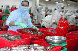 Thủy sản của Việt Nam là một trong số các mặt hàng khá được ưa chuộng tại Nhật Bản.